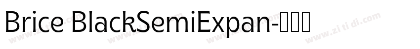 Brice BlackSemiExpan字体转换